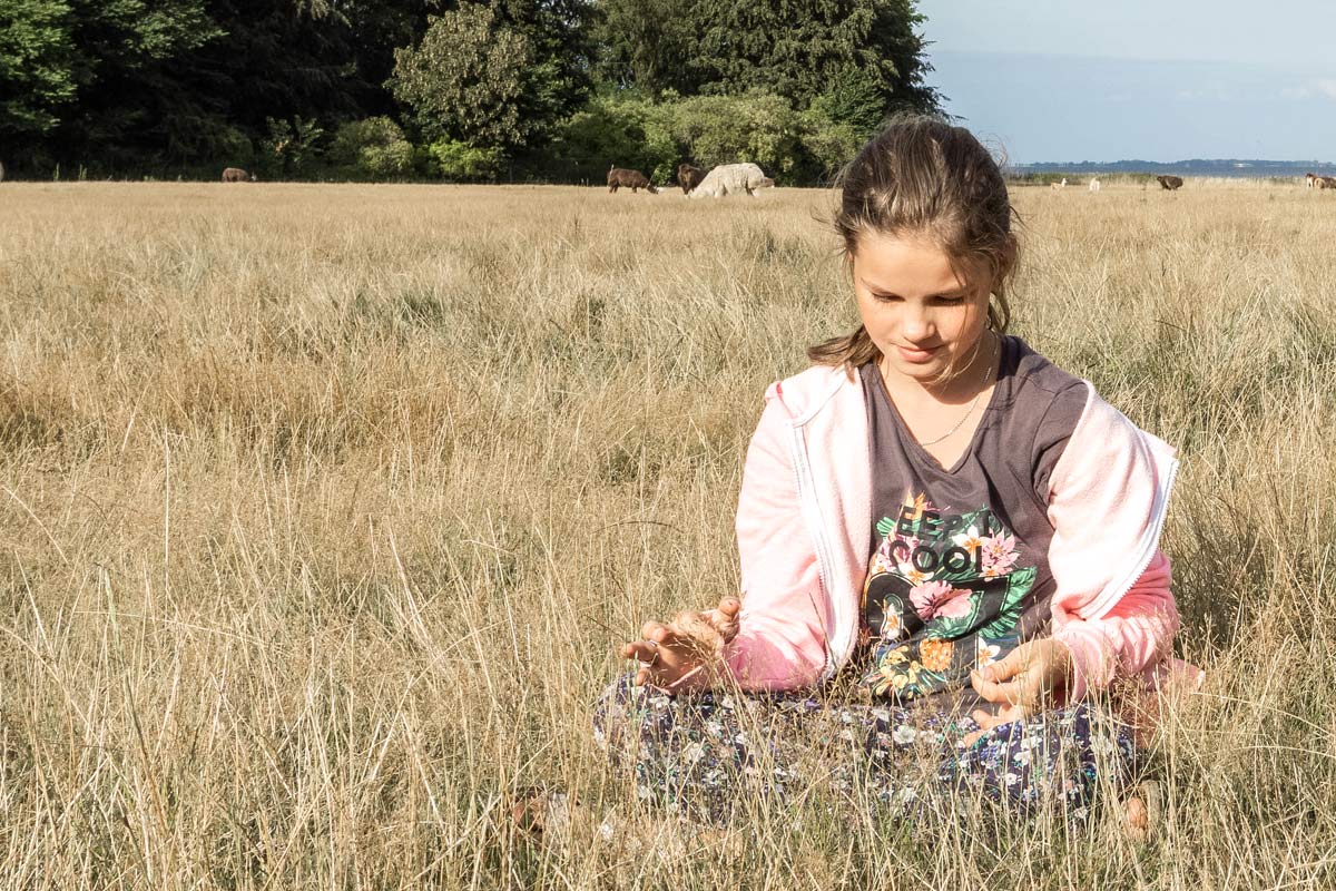 Kinder spielt auf einem Feld